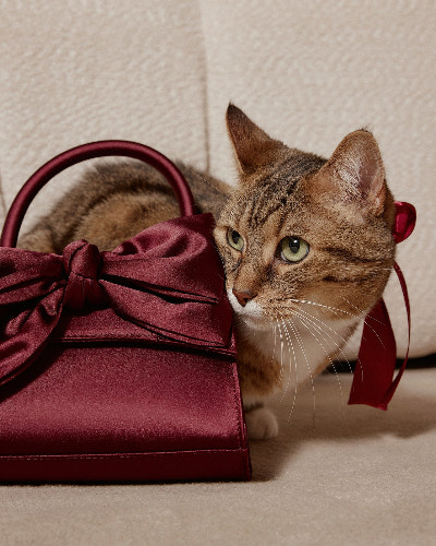 ALDO Shoes